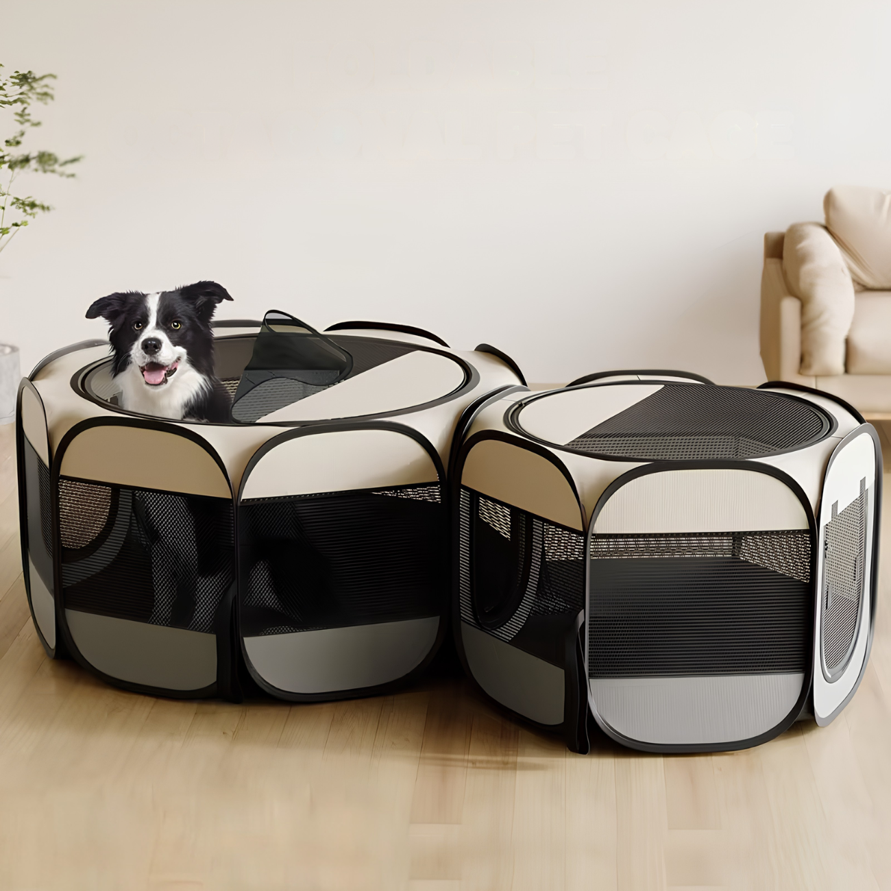 Katzenkäfig mit viel Bewegungsfreiheit & ideal für aktive Katzen.