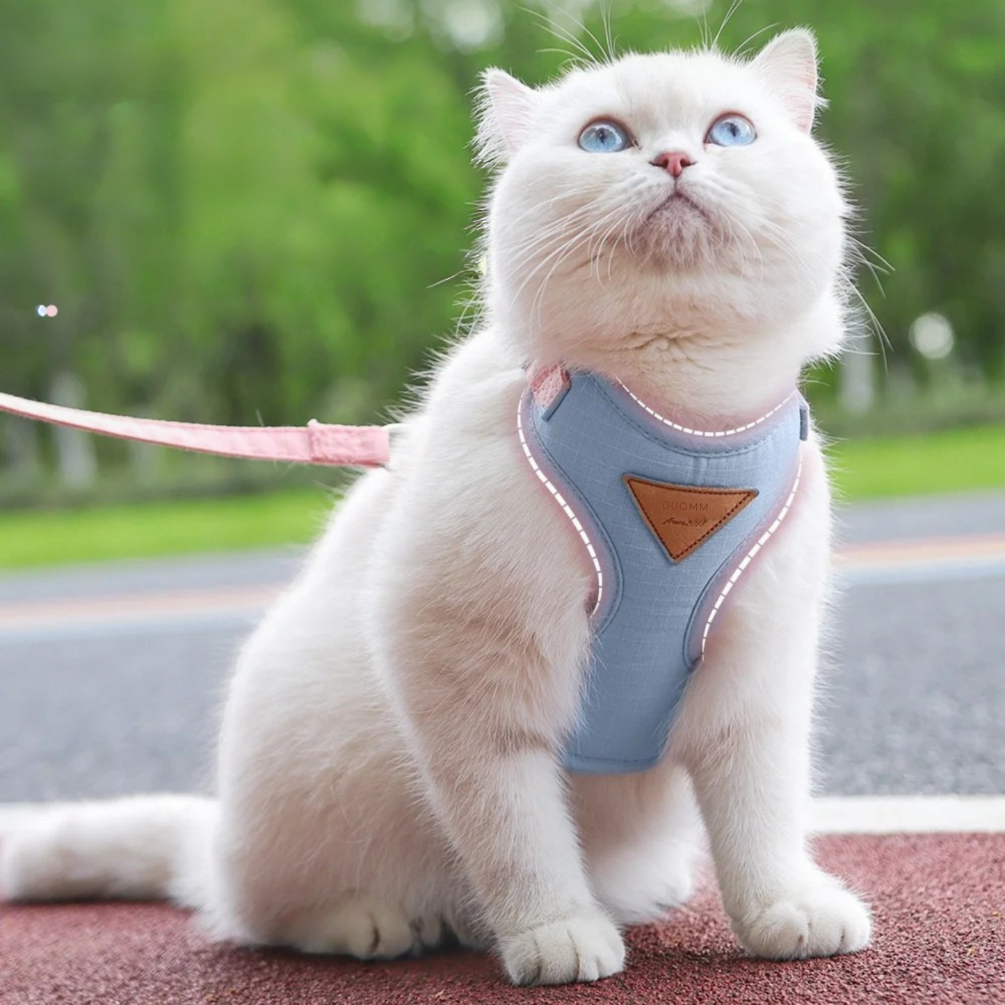 Gemütliches, weiches Katzengeschirr.