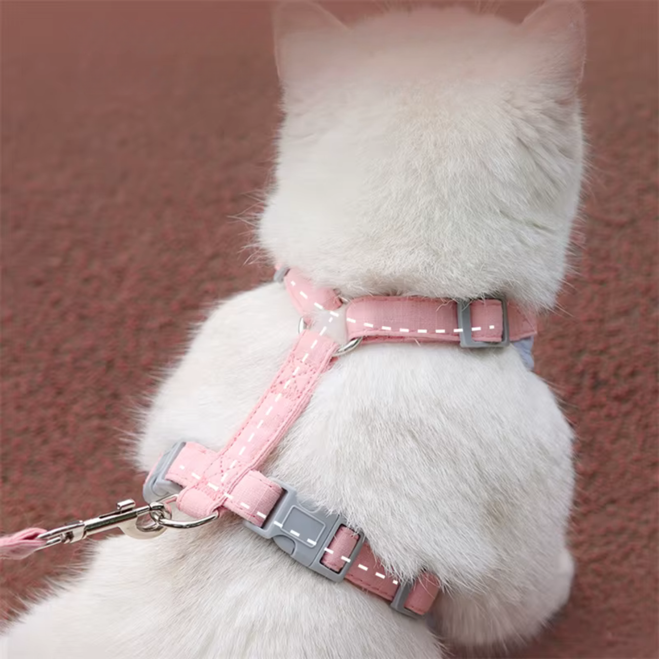 Gemütliches, weiches Katzengeschirr.