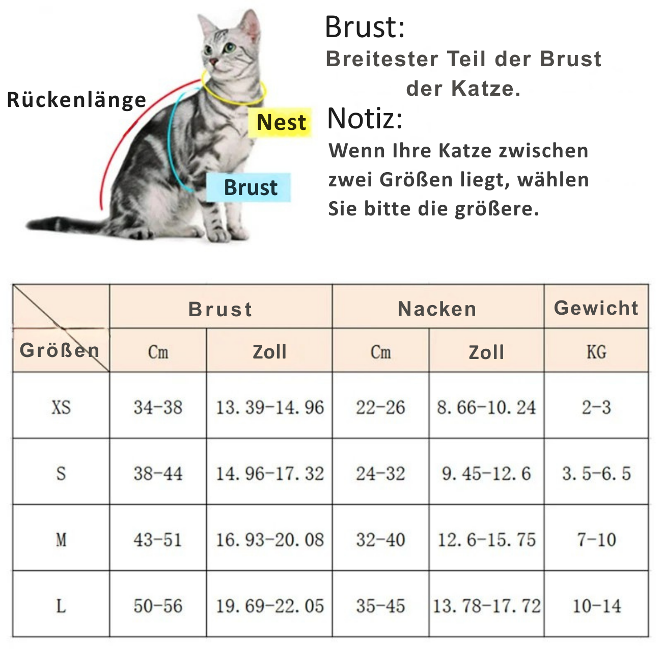 Harnais pour chat confortable et doux.