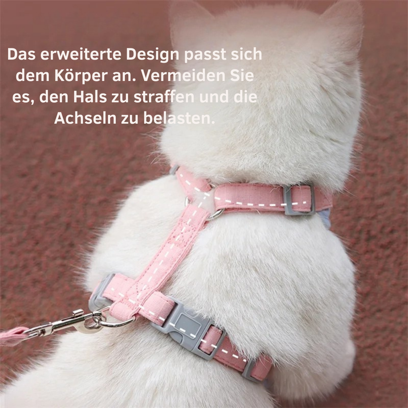 Harnais pour chat confortable et doux.