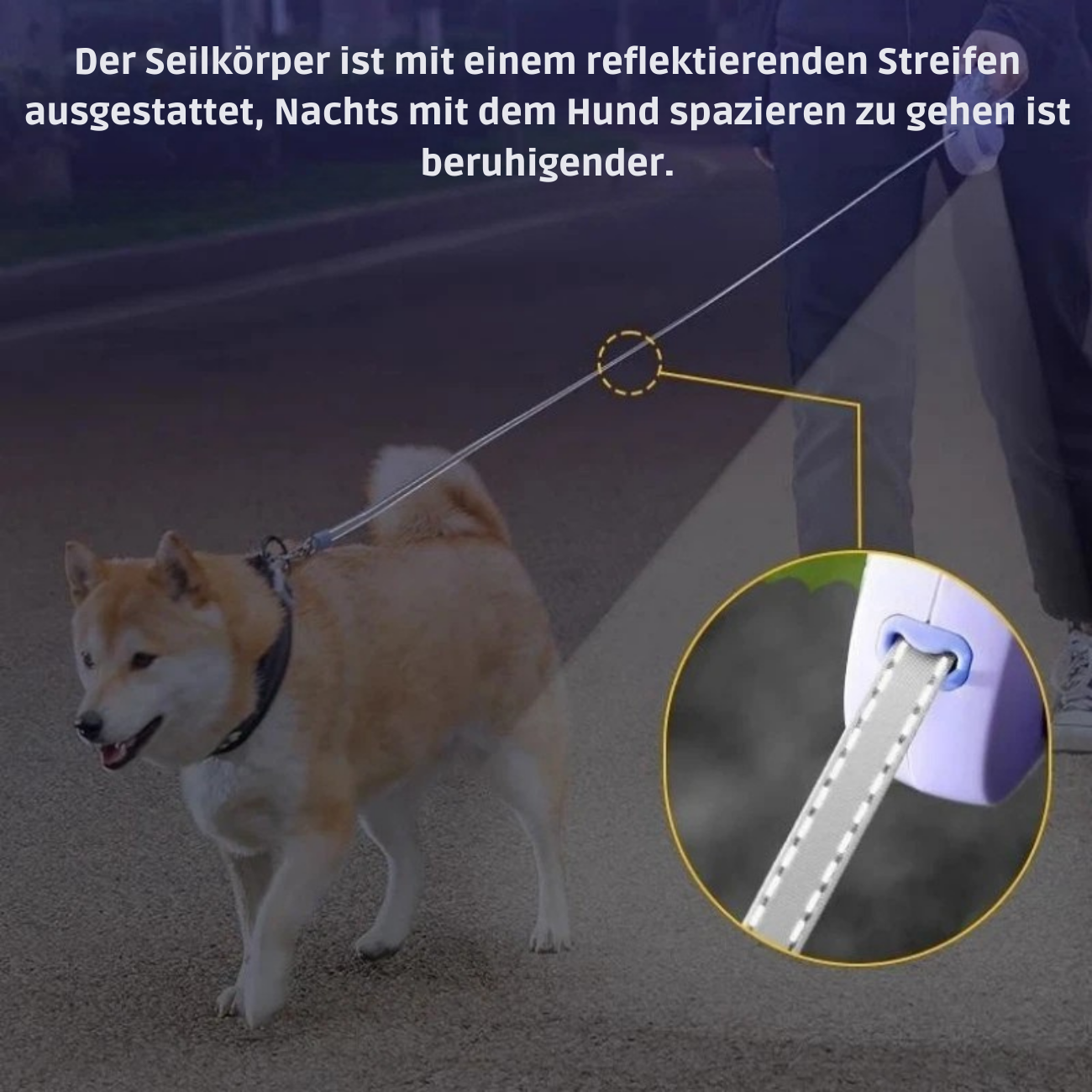 3M-5M einziehbare Hundeleine für kleine und mittelgroße Hunde