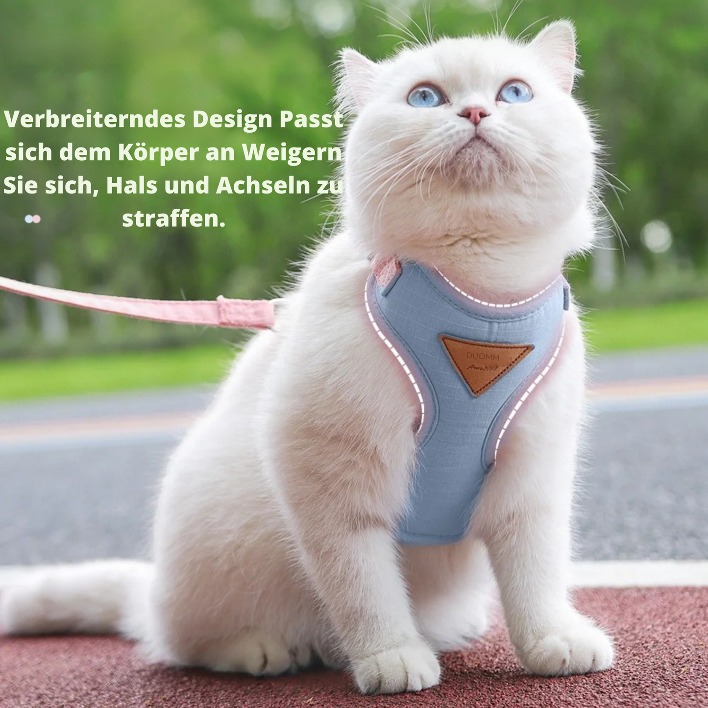 Harnais pour chat confortable et doux.